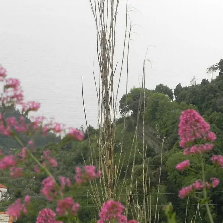 Ca Gialla De Drignana *