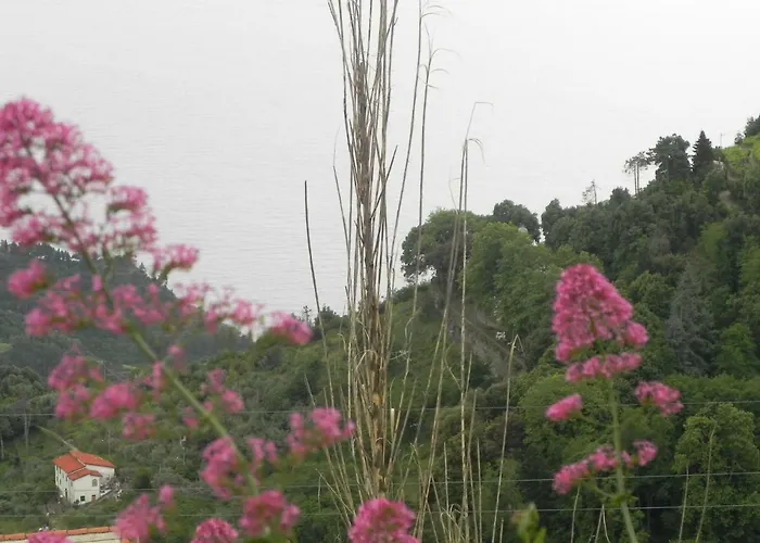 Ca Gialla De Drignana *